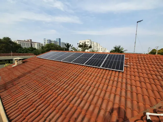 ce452869-19d6-47fd-95a0-ea37f5bdd2fd_Imagem2