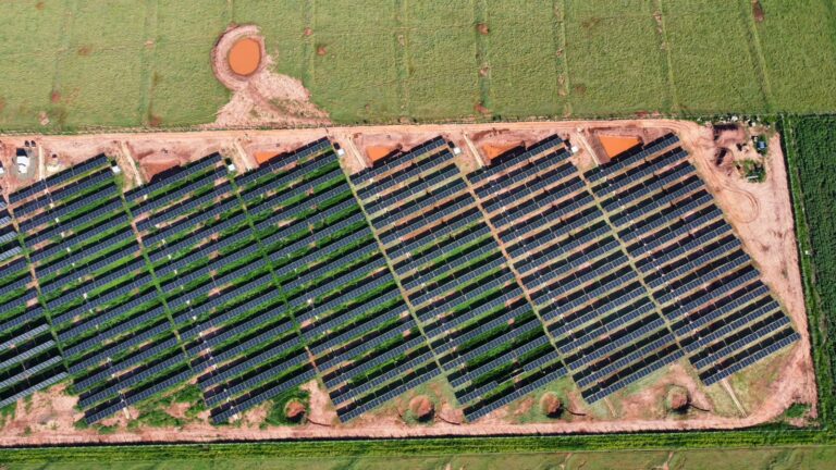 WhatsApp Image 2025-11-06 at 16.52.14