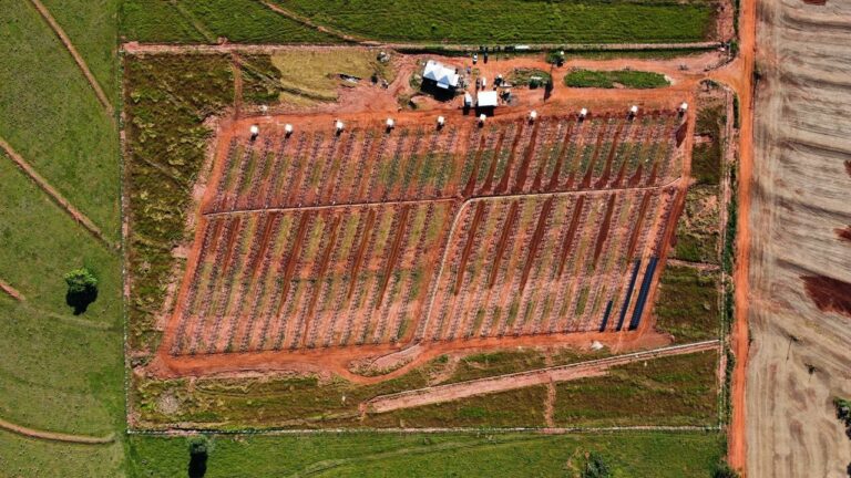 22fe47cc-8aca-4ecf-bb93-c5c74a7f5b09